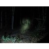 Lanterna LED Olight SR51 Intimidator