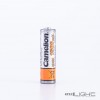 Acumulatori AA Camelion R6 1500 mAh NiMH NH-AA1500BP2
