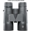 Bushnell Legend Black, Binoclu 8x42