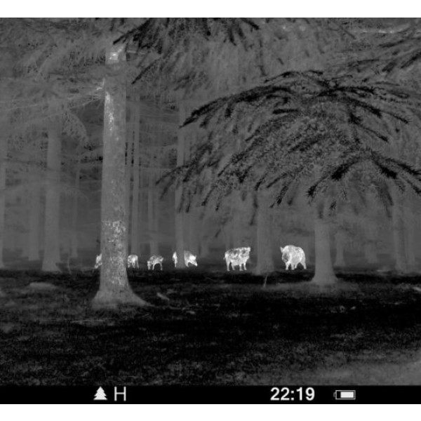 Pulsar Core FXQ55 BW, Camera cu termoviziune 