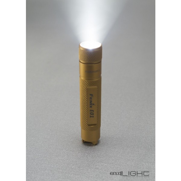 Fenix E01